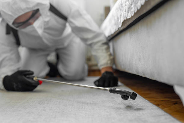 Professional Bed Bug Control technician working in Wamac, IL