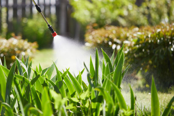 24/7 Emergency Bed Bug Control experts in Wamac, IL